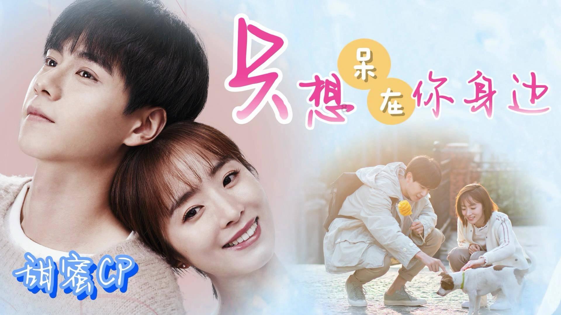 财神到！《黄貔：天降财神猫》定档大年初一