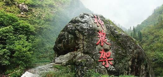 死亡率极高!20岁女孩突然确诊! 一个症状没放在心上,结果……