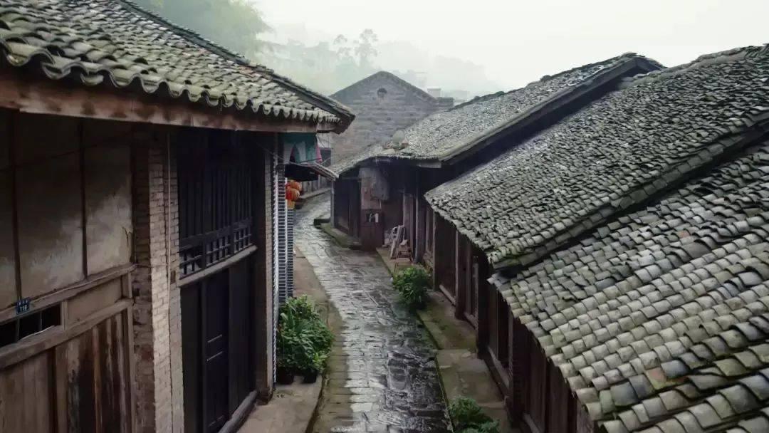 清风劲吹润铁岭 | 郜家店税务分局:立足清风“三尺窗” 书写服务“大篇章”